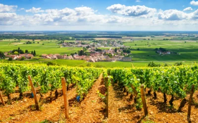 Jardin Secret Bourgogne